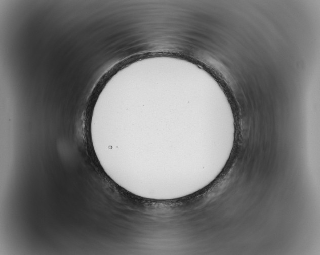 X0000096160875200802151413