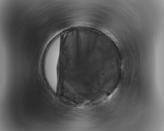 X0000096160877200802151412