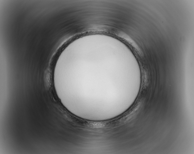 X0000096160878200802151412