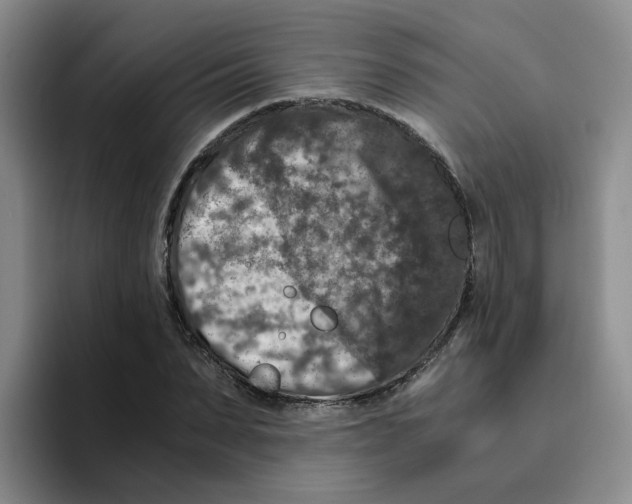 X0000096160879200802151412