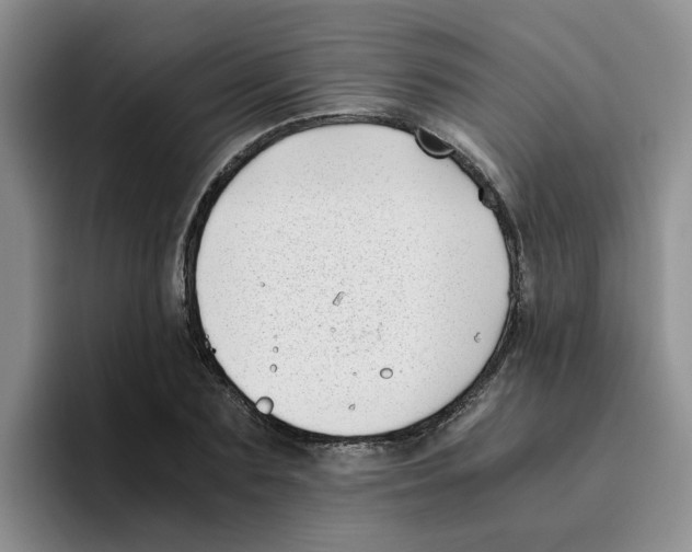 X0000096160883200802151412