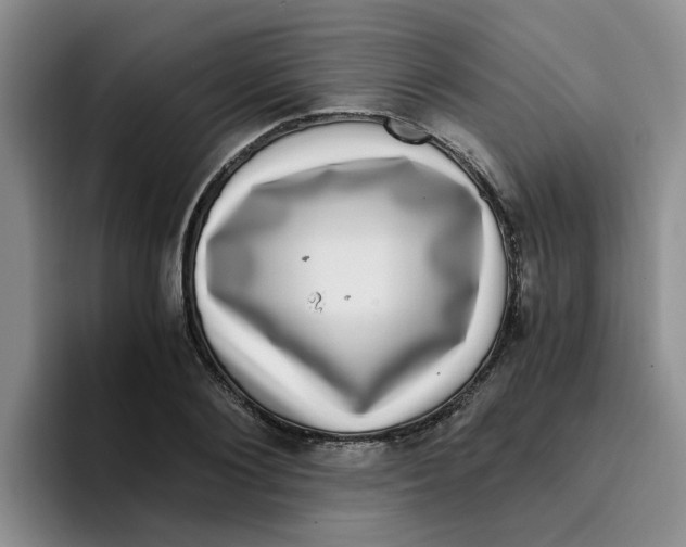 X0000096160884200802151412