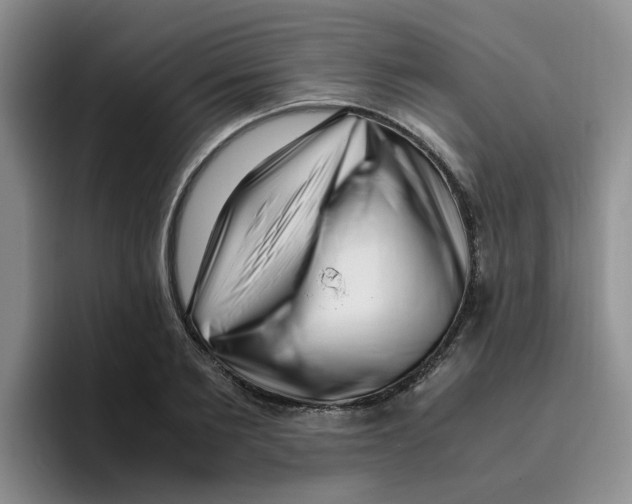 X0000096160885200802151412