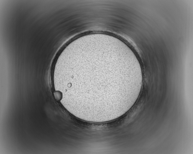 X0000096160887200802151412