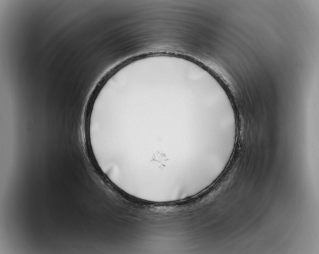 X0000096160888200802151412