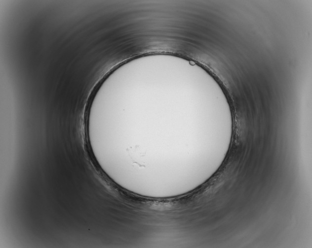 X0000096160890200802151412