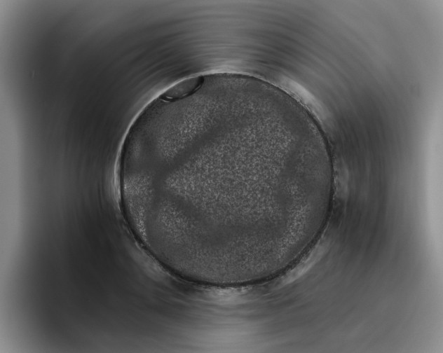 X0000096160892200802151412