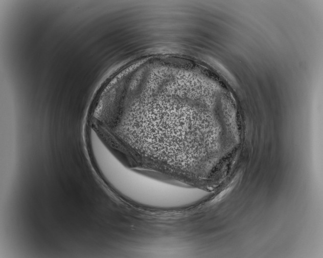 X0000096160893200802151412