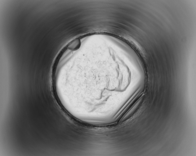 X0000096160894200802151412