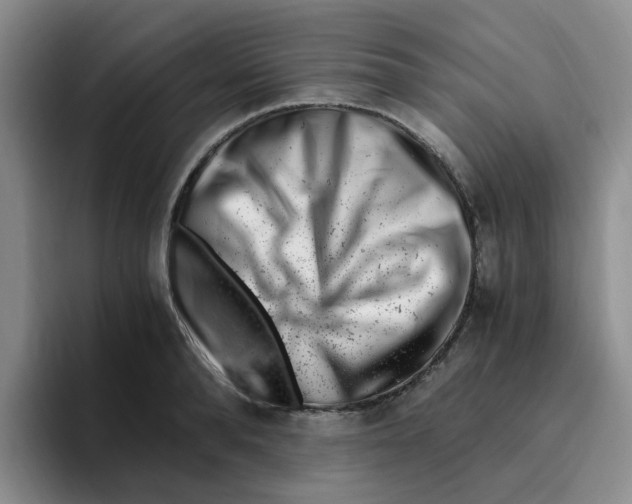 X0000096160896200802151412