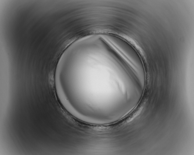 X0000096160897200802151412