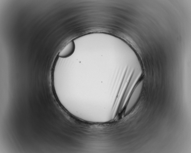 X0000096160898200802151412