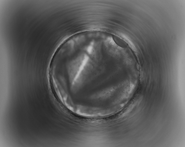 X0000096160899200802151412