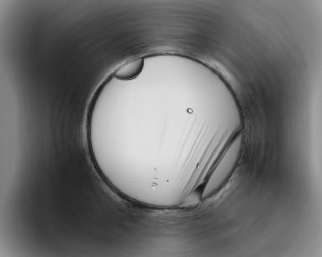 X0000096160902200802151412