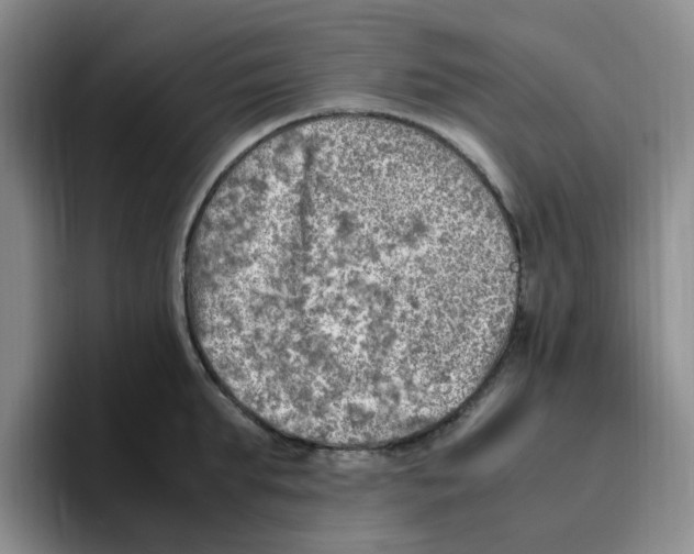 X0000096160903200802151412