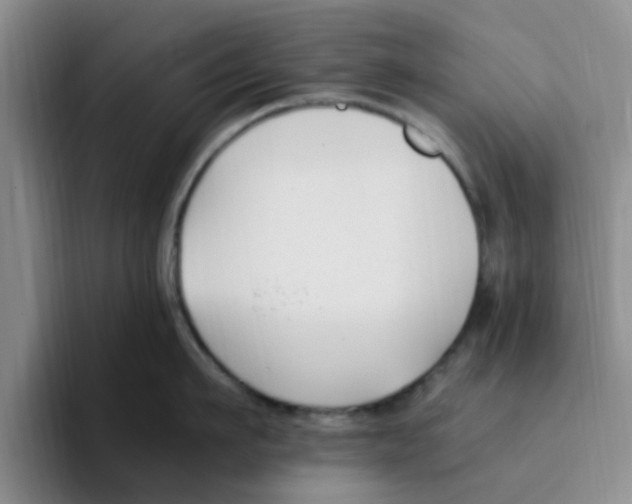 X0000096160911200802151412