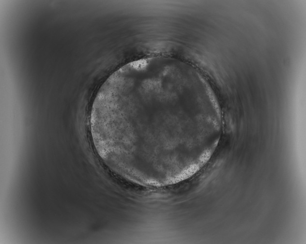 X0000096160913200802151411