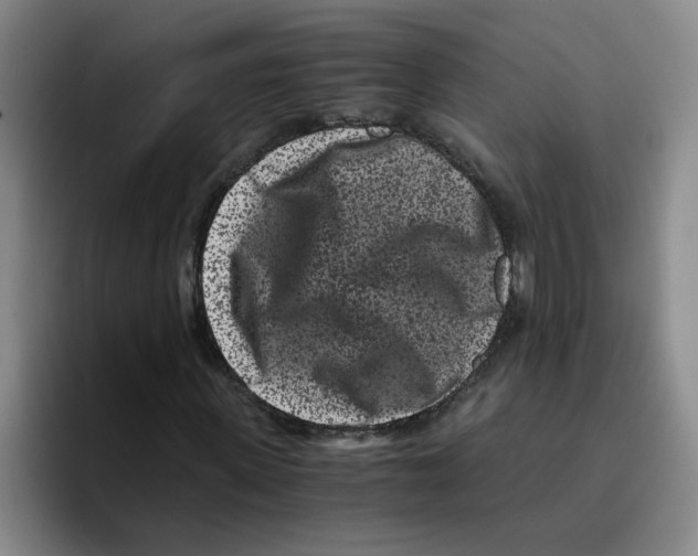 X0000096160915200802151411