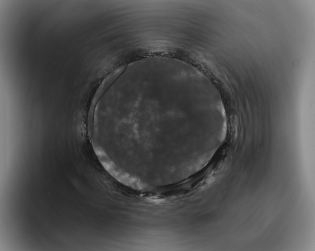 X0000096160916200802151411