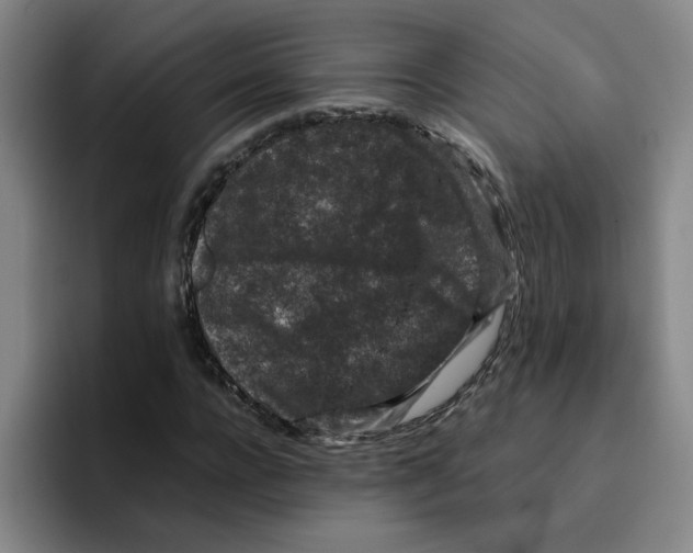 X0000096160920200802151412