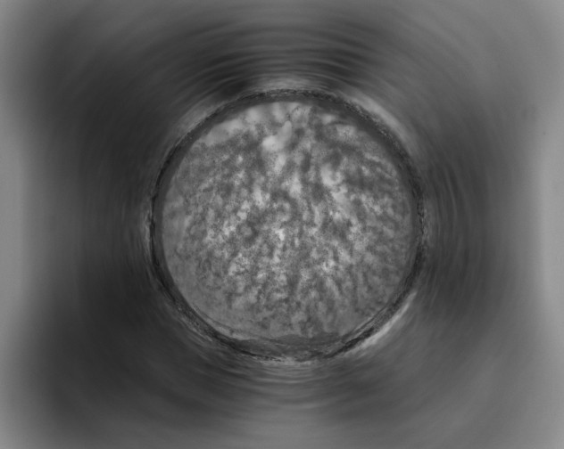 X0000096160921200802151412