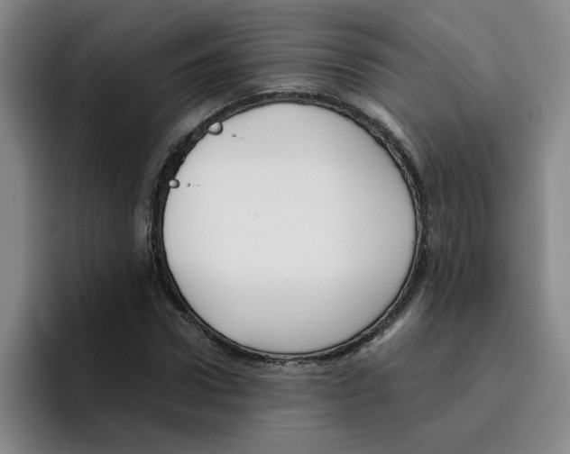 X0000096160922200802151412