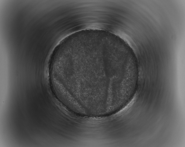 X0000096160923200802151412