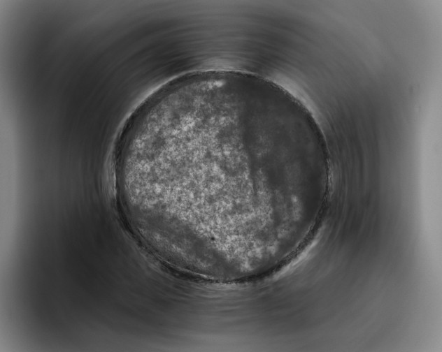 X0000096160925200802151412