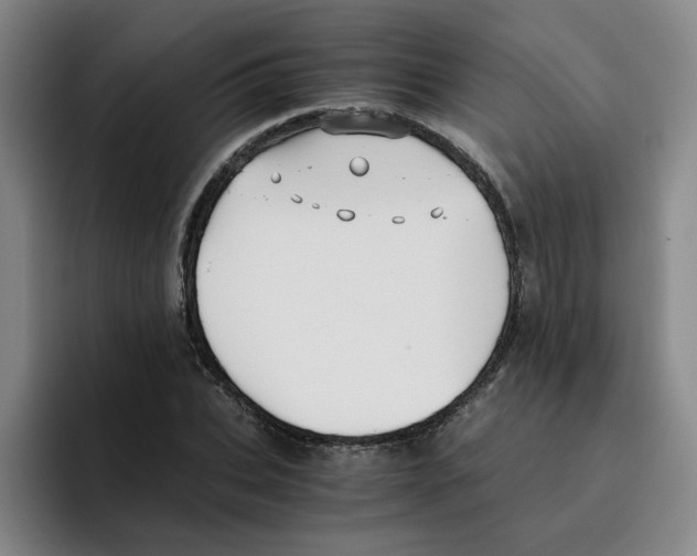 X0000096160927200802151412