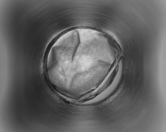 X0000096160928200802151412