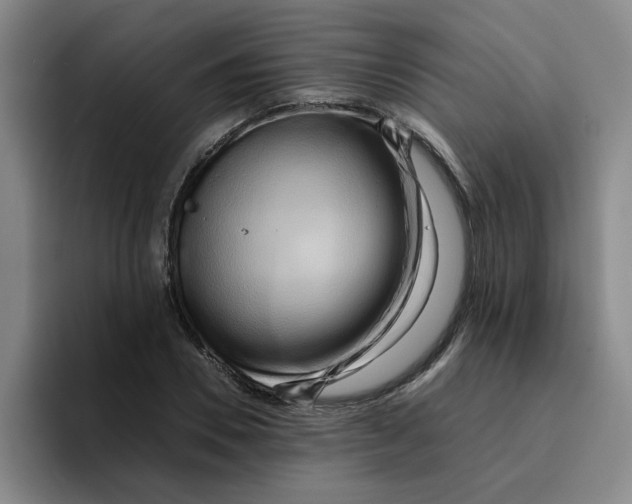 X0000096160930200802151412