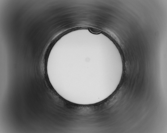 X0000096160931200802151412