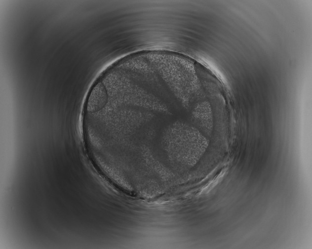 X0000096160932200802151412