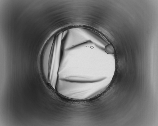 X0000096160934200802151412