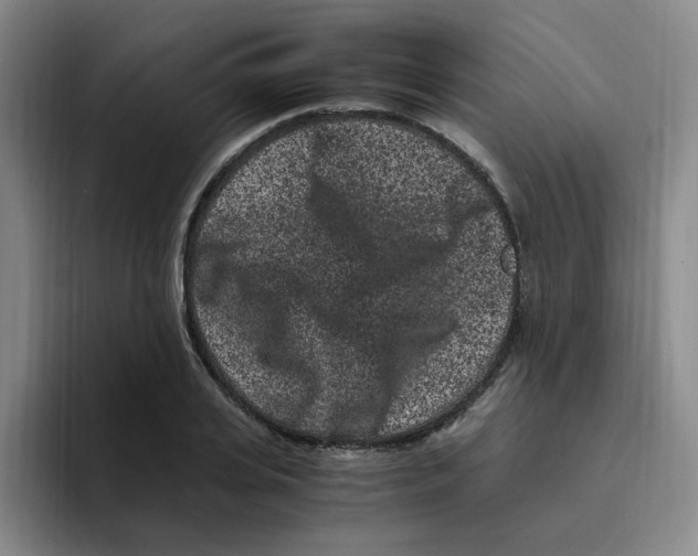 X0000096160935200802151412