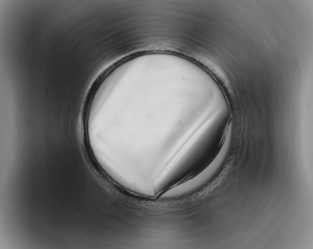 X0000096160936200802151412