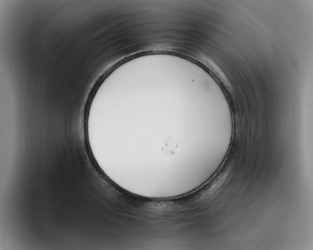 X0000096160939200802151412