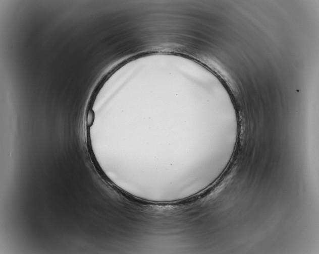 X0000096160940200802151412