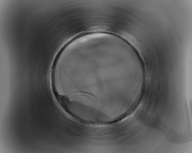 X0000096160941200802151412