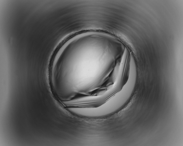 X0000096160942200802151412