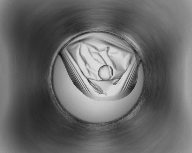 X0000096160948200802151412