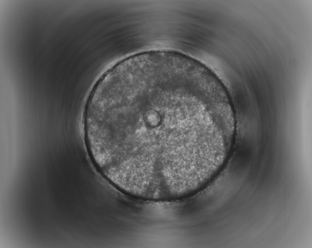 X0000096160950200802151412