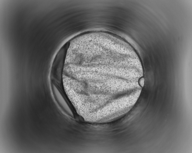 X0000096160951200802151412