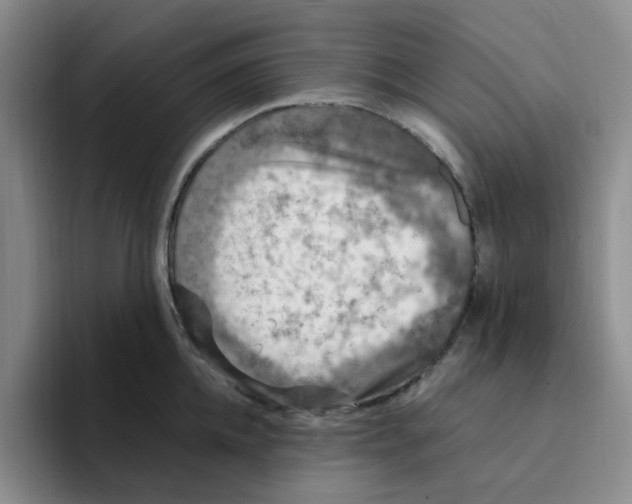 X0000096160952200802151412