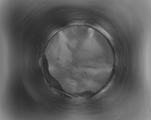 X0000096160953200802151412