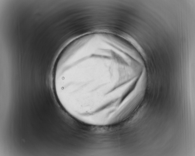 X0000096160955200802151412