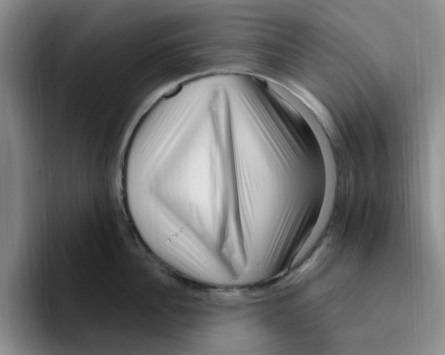 X0000096160956200802151412