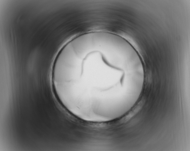 X0000096160957200802151412