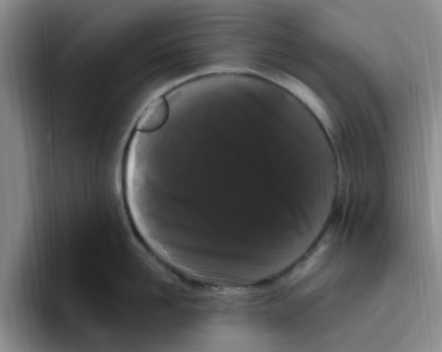 X0000096160958200802151412