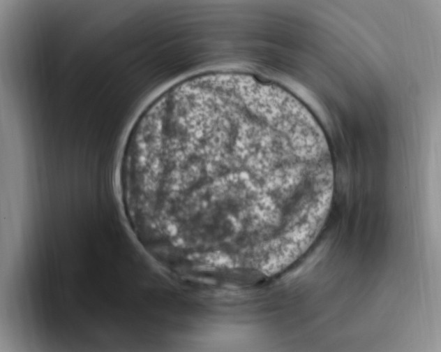 X0000096160959200802151412